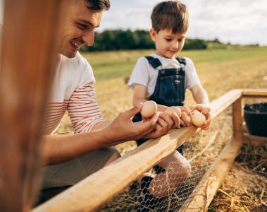 Mit Sustell™ den Wert der Nachhaltigkeit in Wertschöpfungsketten für tierisches Eiweiß erschließen