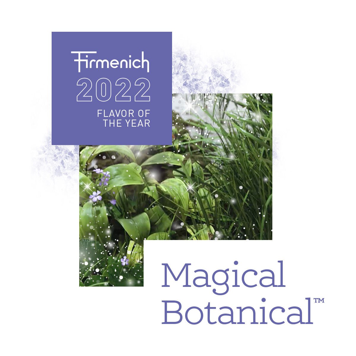 A Firmenich anuncia o Magical Botanical como o 10º Sabor do Ano anual!